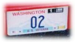 USA Washington close-up 02.jpg (6 kB)