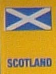 Great Britain close-up of Scottish flag.jpg (4 kB)