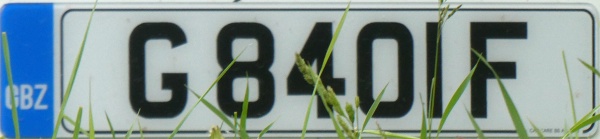Gibraltar normal series front plate close-up G 8401 F.jpg (65 kB)