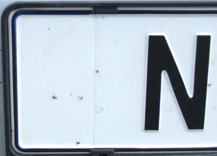 Norway normal series former style close-up of white sticker NF 11105.jpg (41 kB)