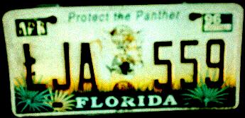 USA Florida Protect the Panther optional passenger series close-up LJA 559.jpg (17 kB)