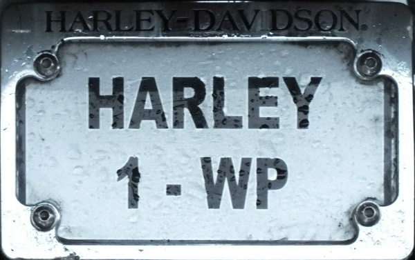 South Africa Western Cape personalized series close-up HARLEY 1-WP.jpg (92 kB)